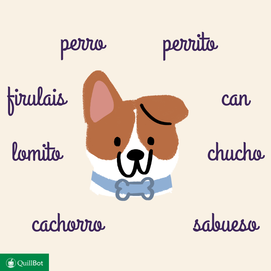 chien en espagnol