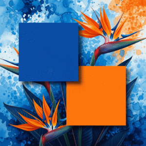 QB-combinacion-azul-2