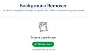 Quillbot backbround remover example 1