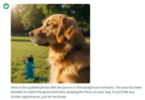 Photo of a dog at a park, edited by Quillbot to remove a stranger from the background