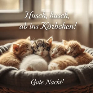 Gute-Nacht-Bild