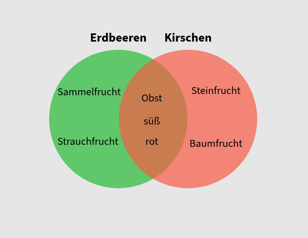 Venn-Diagramm im Alltag