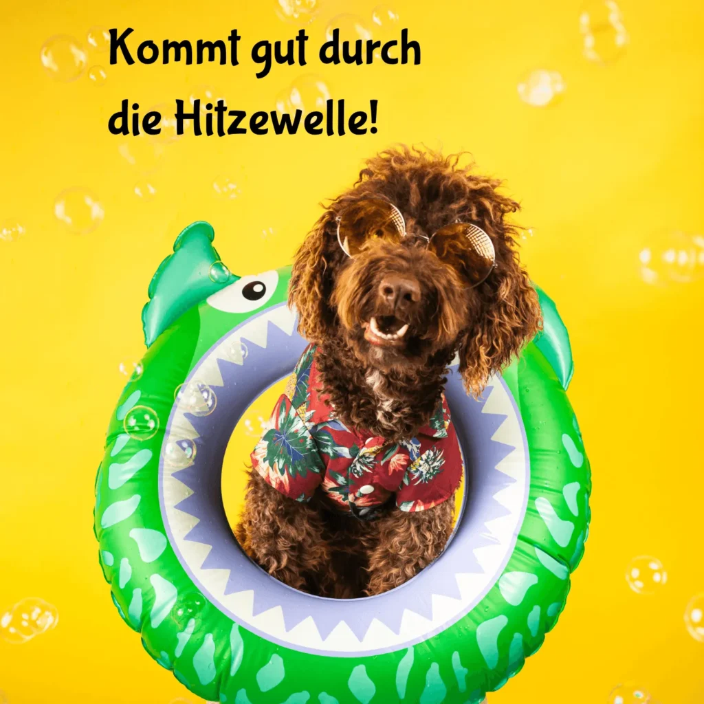 Hitze Bilder lustig 01